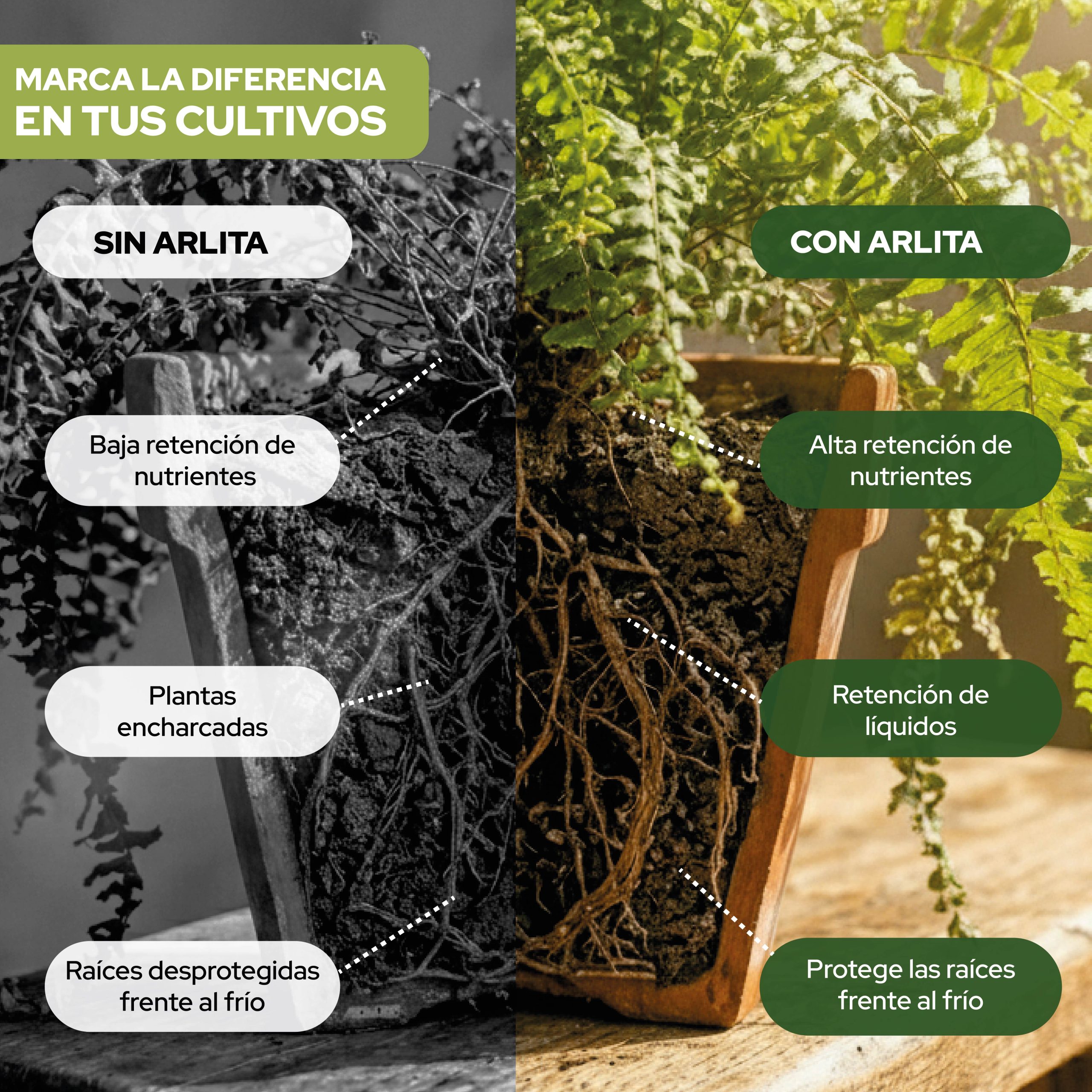 Arlita 6L sustrato bolas de arcilla expandida para plantas · foto 4