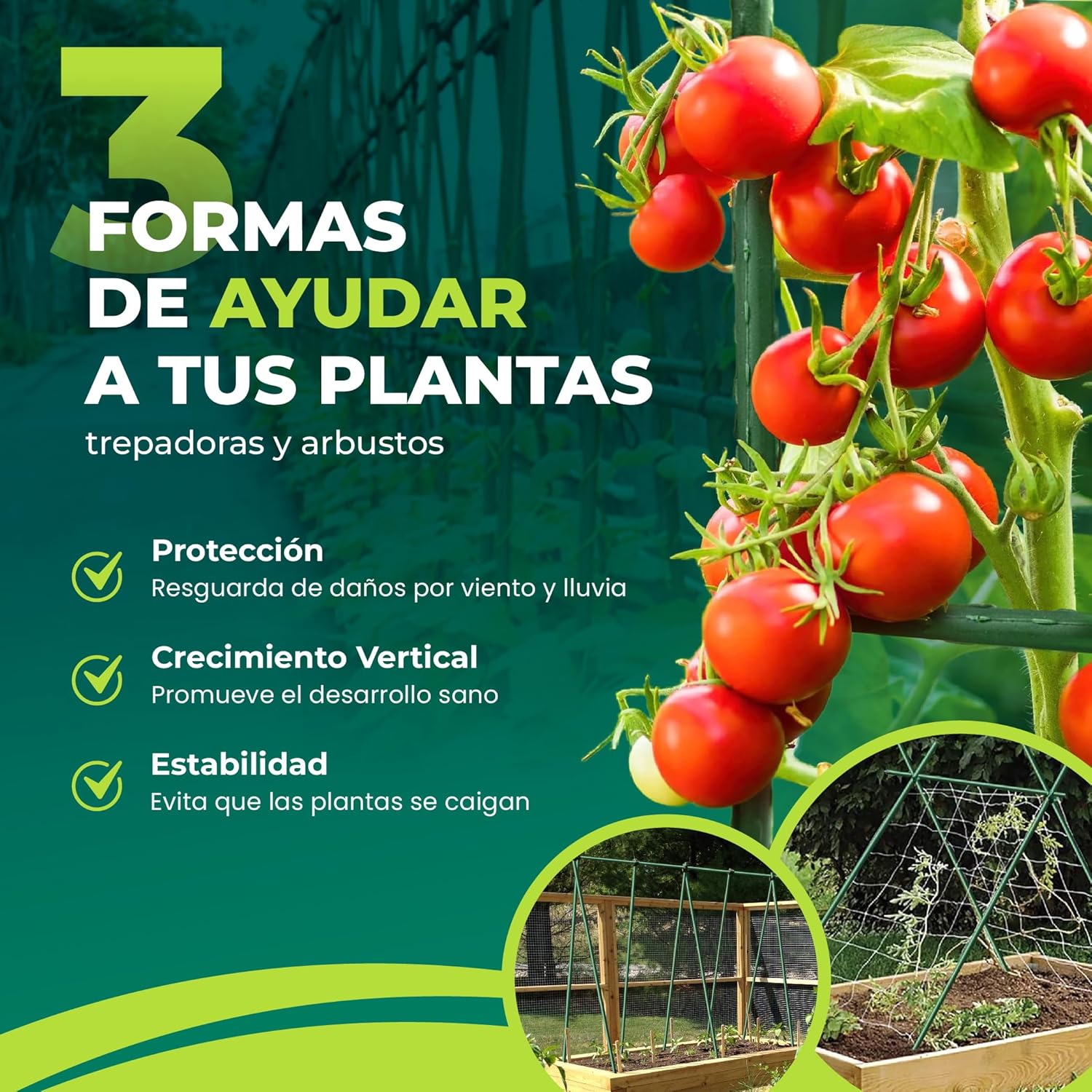 Tutores de acero recubiertos de PVC de 90 cm en pack de 10 para jardinería · foto 2