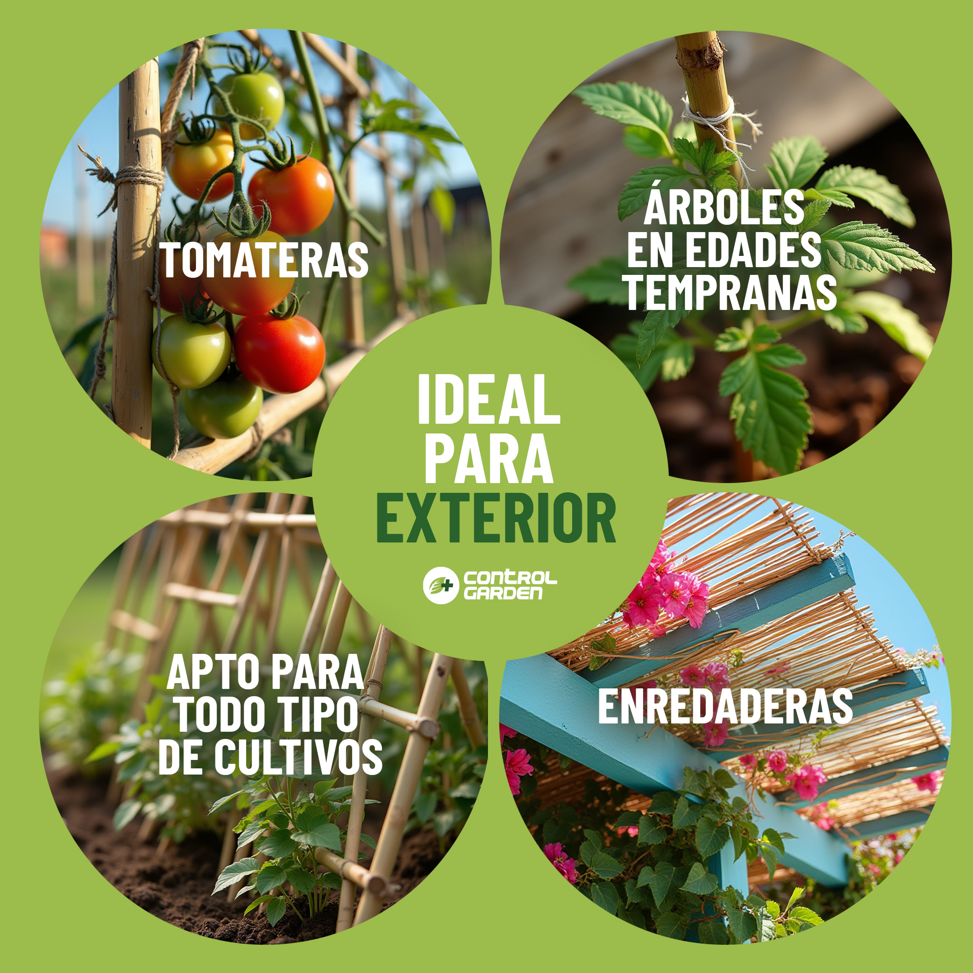 Pack de 30 tutores de bambú natural de 60 cm para guiar plantas · foto 5