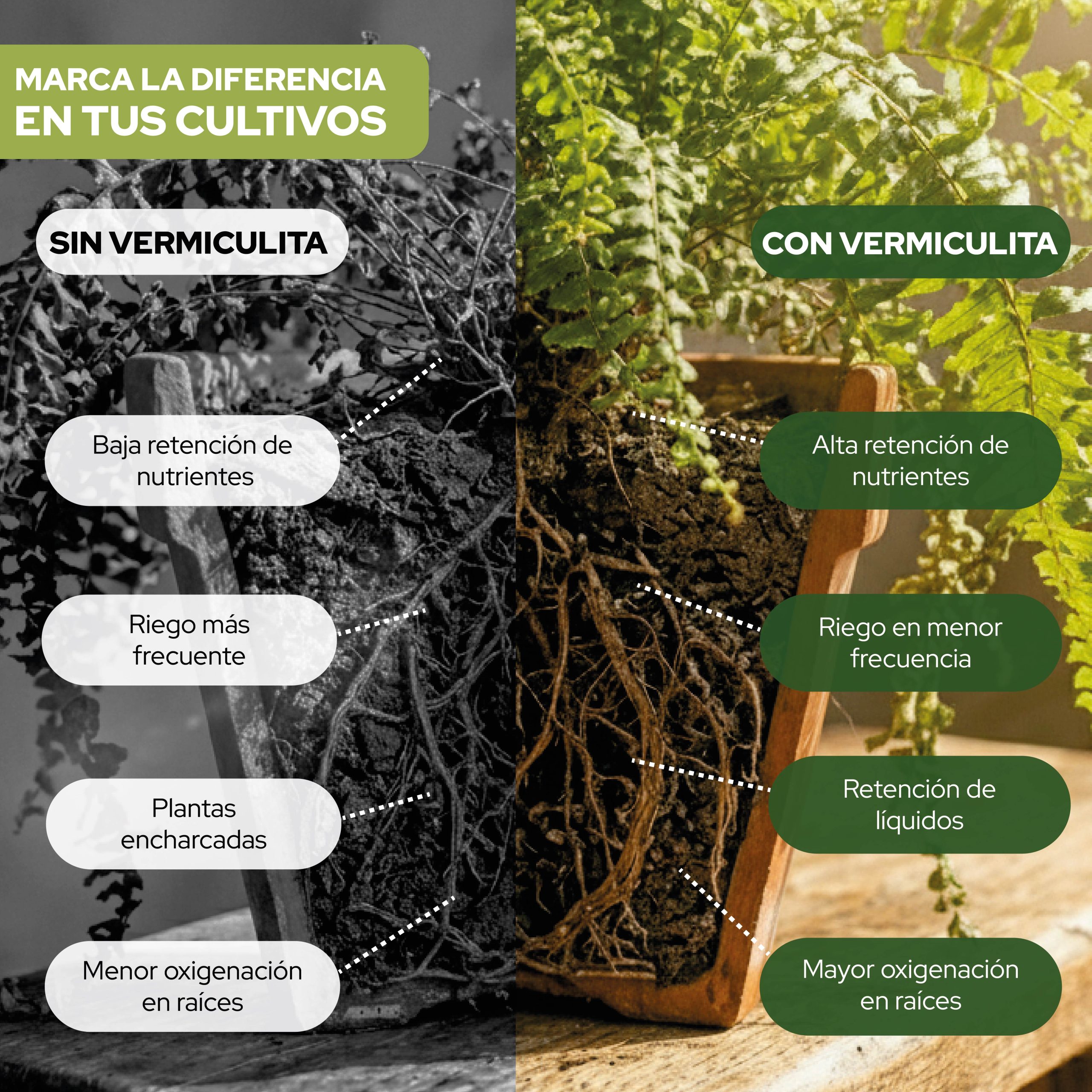 Vermiculita 3L para sustrato mineral en jardinería y cultivos · foto 4