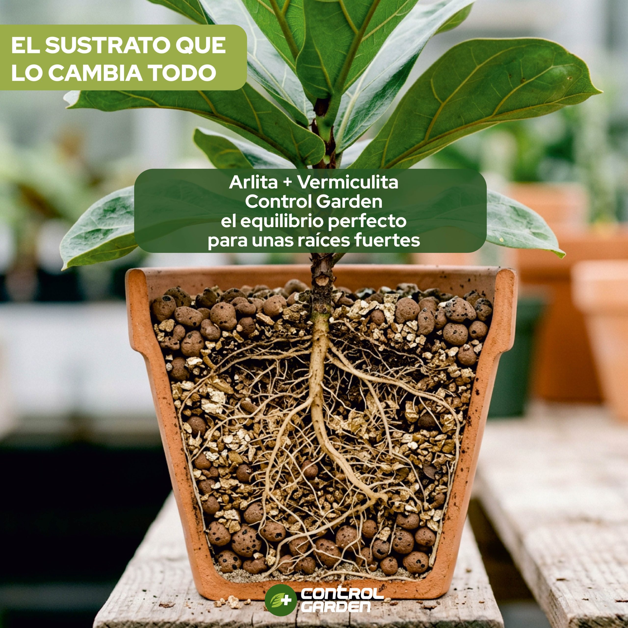 Pack de Arlita y Vermiculita de 20L para cultivos saludables · foto 8