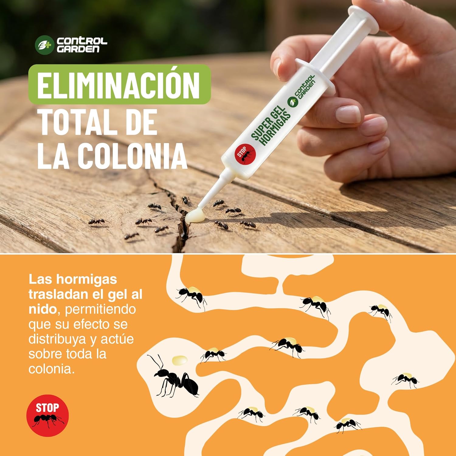 Gel antihormigas en jeringa de 10 g para eliminar hormigas en interiores y exteriores. · foto 6