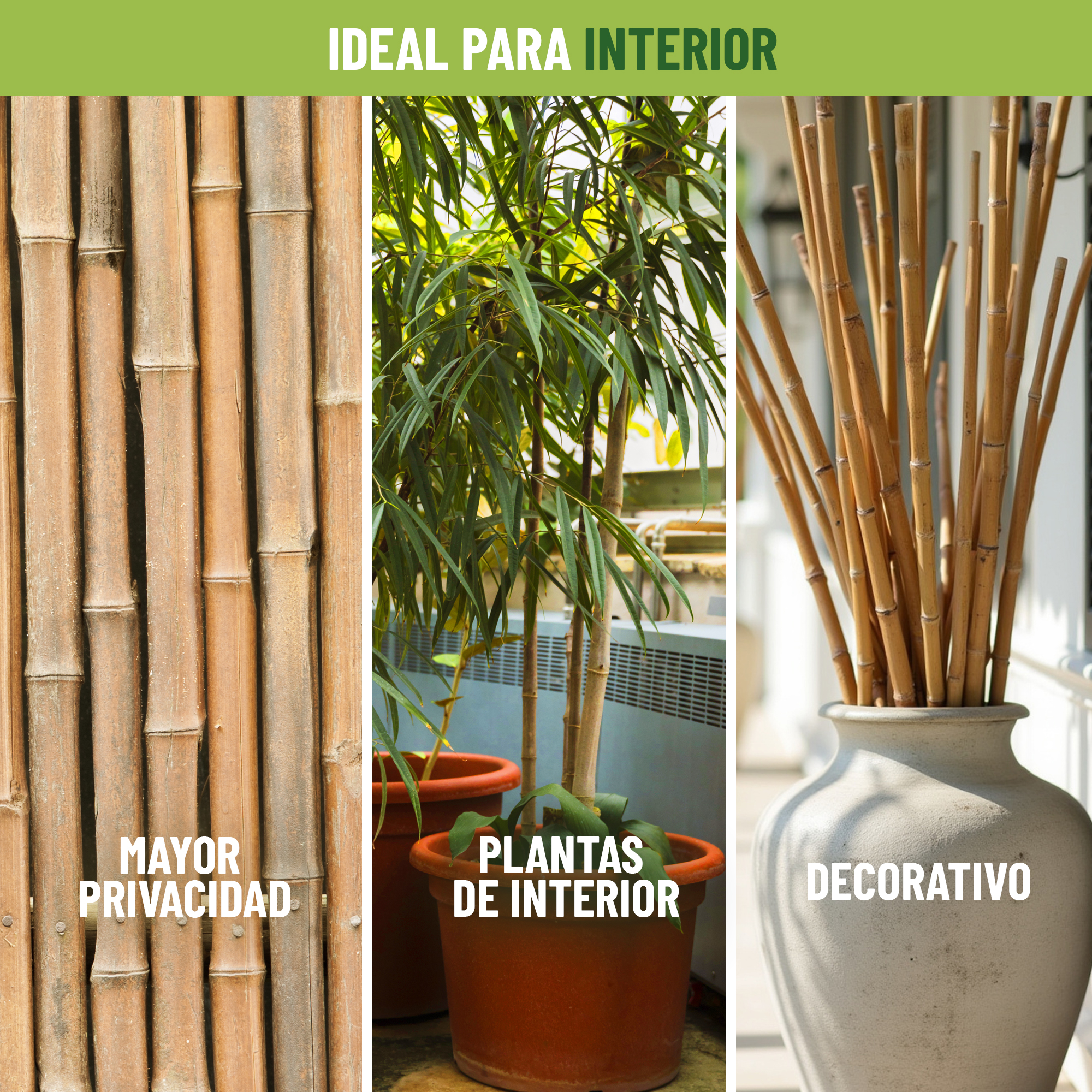 Pack de 30 tutores de bambú de 90 cm para soporte de plantas · foto 4