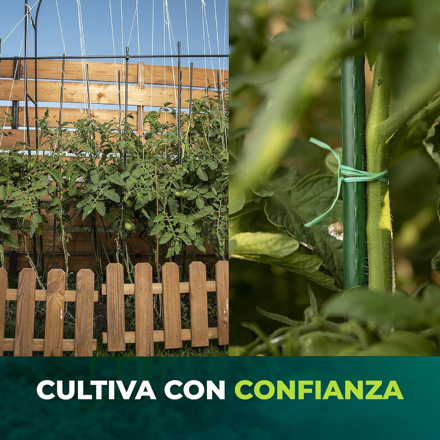 Pack de 10 tutores de acero recubiertos de PVC de 150 cm para plantas · foto 7