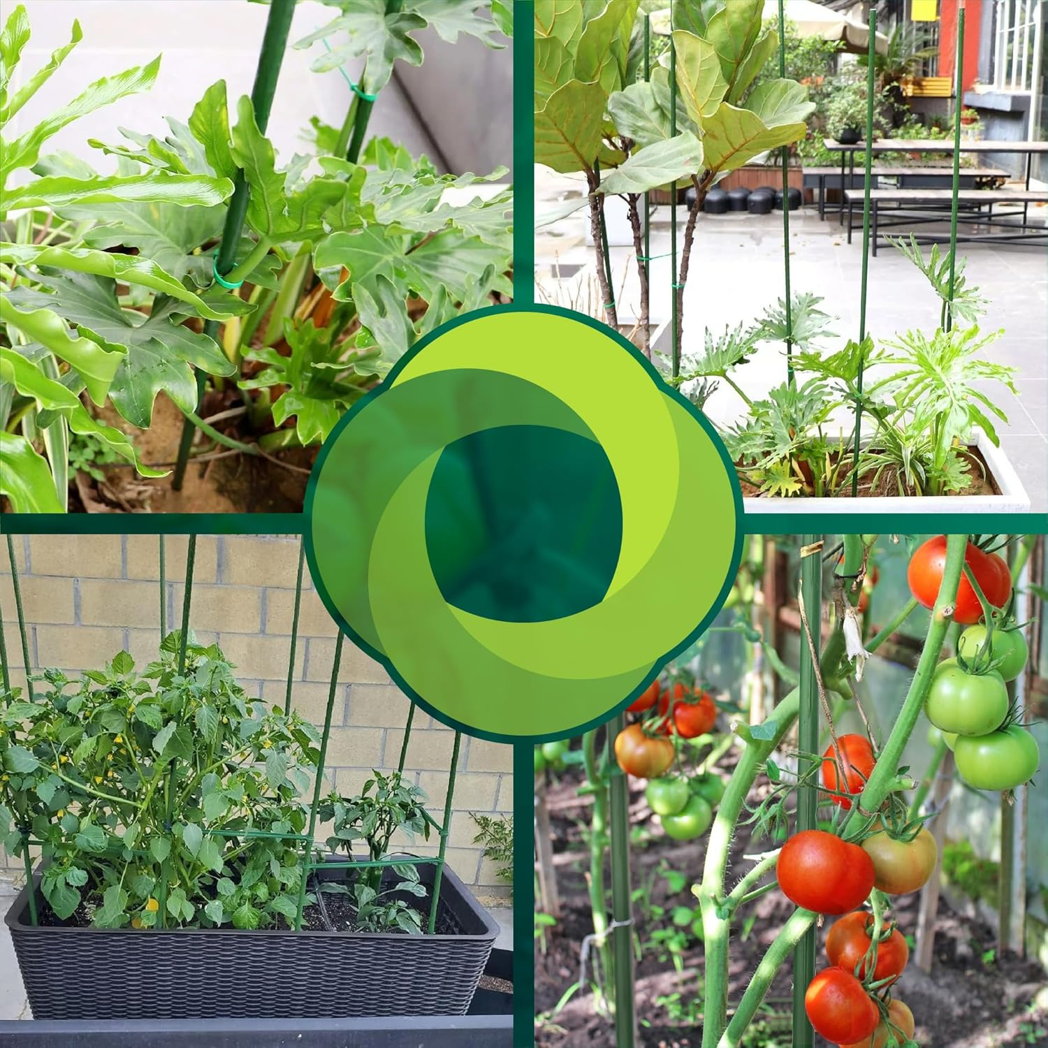 Pack de 30 tutores de acero recubiertos de PVC de 150 cm para soporte de plantas. · foto 6