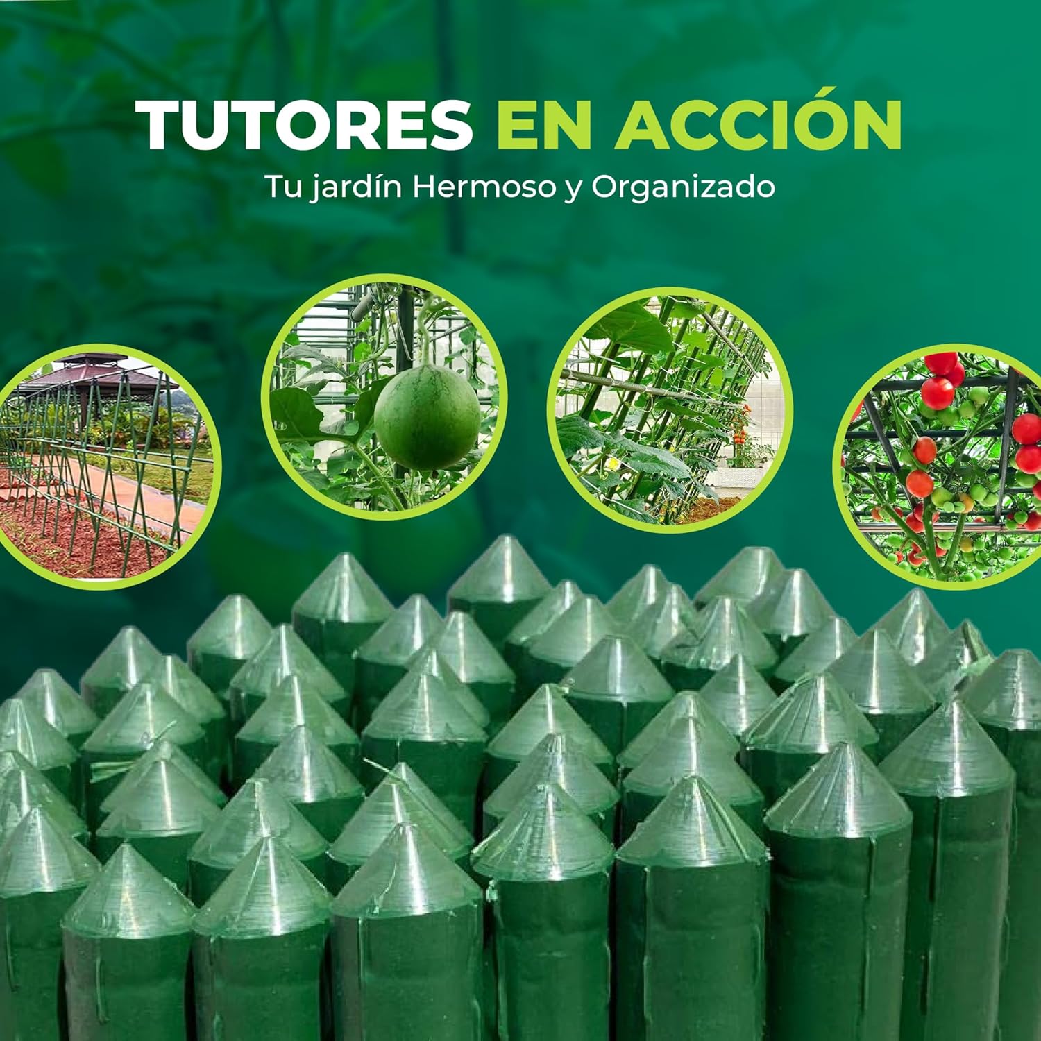 Pack de 30 tutores de acero recubiertos de PVC de 150 cm para soporte de plantas. · foto 8